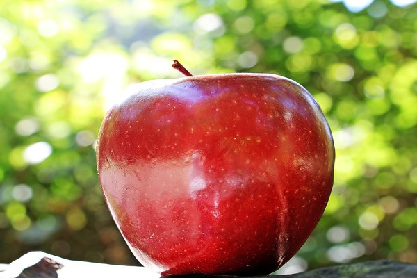 تفسير حلم التفاح الاحمر للحامل