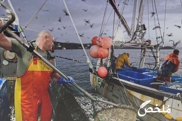 تفسير حلم صيد السمك بالشبكة 2