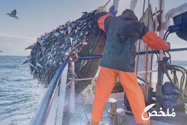 تفسير حلم صيد السمك بالشبكة